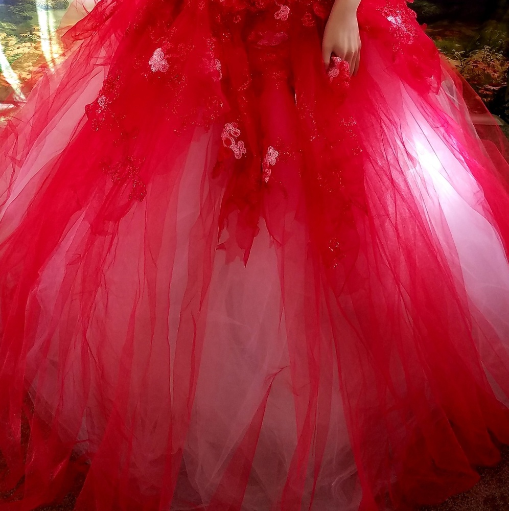 VALENTINA Red Lace & Tulle Corset Wedding Gown - Picture 2 of 8